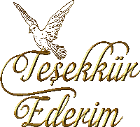 a drawing of a bird with the words tesekkin ederim below it