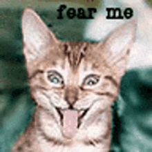 a close up of a cat with its tongue hanging out and the words `` fear me '' written above it .