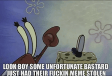 a cartoon of a crab and spongebob says look boy some unfortunate bastard
