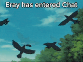 a group of birds flying in the sky with the words eray has entered chat