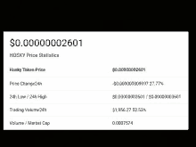 a screenshot of a website showing the price of hosky token