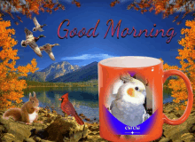 a mug with a picture of a bird and the words good morning written on it