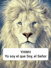 a painting of a white lion with the words yhwh yo soy el que soy el señor above it