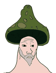 a cartoon of a man with a beard wearing a mushroom hat