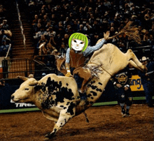 a person with green hair is riding a bull