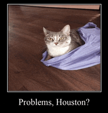 a cat is wrapped in a plastic bag with the words problems houston on the bottom