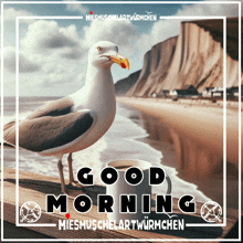 a picture of a seagull standing next to a cup of coffee that says " good morning "