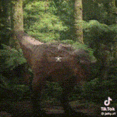 a dinosaur is standing in the middle of a forest surrounded by trees and ferns .