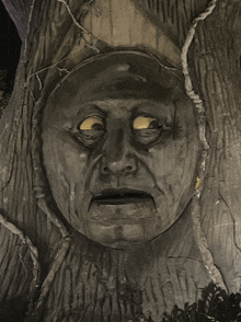 a statue of a man 's face is carved into the trunk of a tree