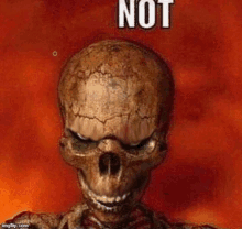 a skeleton with its eyes closed and the words `` not '' written on it .