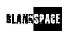 a black and white logo for a company called blankspace .