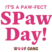 a poster that says it 's a paw fect spaw day