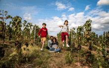 a family in a vineyard with a boy wearing a sweatshirt that says ' abercrombie ' on it