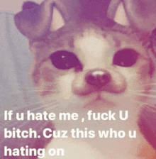 a cat with a caption that says if u hate me fuck u bitch