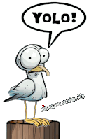 a seagull with a speech bubble that says yolo