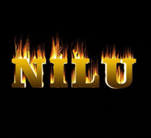 the word nilo is written in gold with flames surrounding it