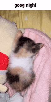 a cat is sleeping on a pink blanket next to a stuffed animal and the words goog night above it