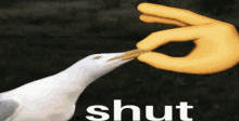 a seagull is being fed by a person 's hand with the word shut written below it