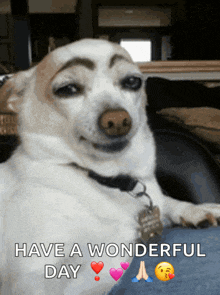 a dog with a fake eyebrow and the words have a wonderful day below it