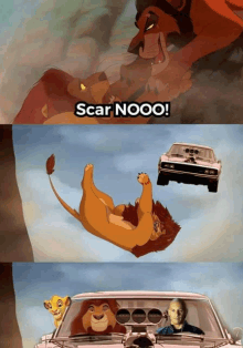 scar from the lion king is falling from the sky