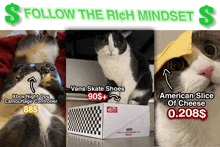 three pictures of a cat with the words follow the rich mindset on top