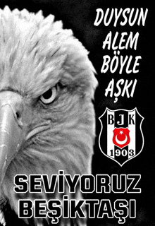 a black and white poster with an eagle and the words seviyoruz besiktasi