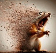 a squirrel with its mouth open is surrounded by a lot of dust