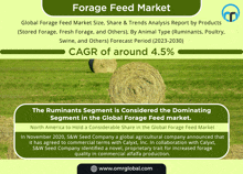 an advertisement for the forage feed market shows bales of hay in a grassy field