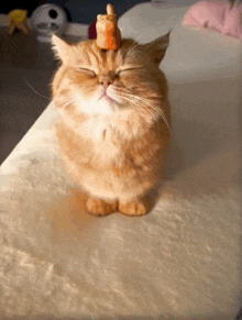 a cat with a toy on its head is sitting on a table