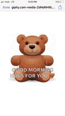 a teddy bear with the words good morning hugs for you on it