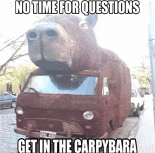 a car that looks like a hippopotamus with the words " no time for questions get in the carpybara "