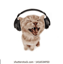 a kitten wearing headphones with its mouth open and yawning .