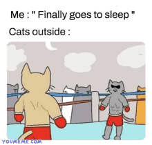 a cartoon of two cats in a boxing ring with the caption " me : finally goes to sleep cats outside : "