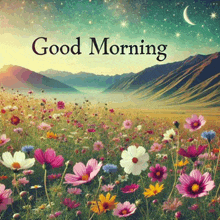 a picture of a field of flowers with the words good morning