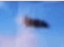 a blurred image of a caterpillar flying in the sky .