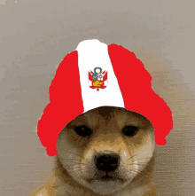 a dog wearing a red white and blue hat with the flag of peru on it