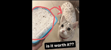 a cat standing next to a container that says is it worth it ?
