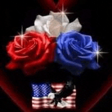 red , white and blue roses with an american flag in the background