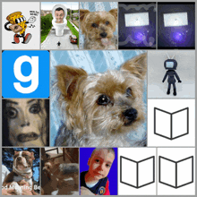 a collage of images with the letter g on the top left