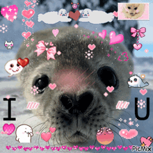 a picture of a seal surrounded by pink hearts and says i love you