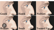 a picture of a man 's nose with different types of nose