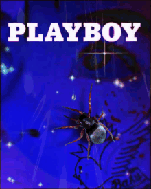 a spider is on the cover of a magazine called playboy