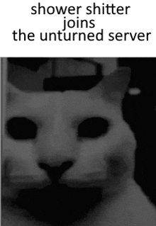 a black and white photo of a cat with the caption shower shitter joins the unturned server .