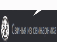 a black background with a speech bubble that says " свинья из свинарника "