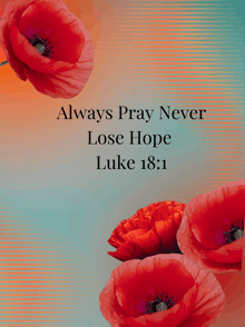 a poster with red flowers and the words always pray never lose hope luke 18 1