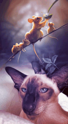 a cat with three mice on a branch looking at it