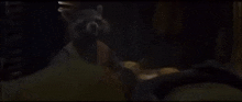 a raccoon is sitting in a dark room and looking at the camera