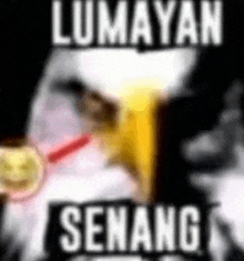 a blurry picture of an eagle with sunglasses and the words `` lumayan senang '' written on it .