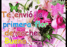 a bouquet of flowers with the words te envio la primera flor de noche buena on it