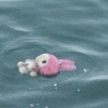 a pink stuffed animal is floating in the water .